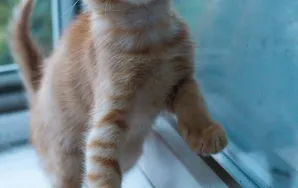 Look At Those Paws!